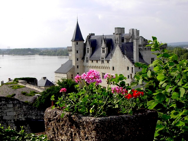 Près du joli village de Candes-St-Martin, la Vienne limousine rejoint la Loire - Fontevraud-l'Abbaye