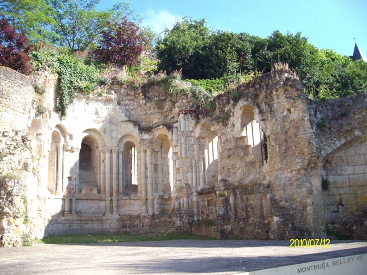 Ruines de L'abbaye - Montreuil-Bellay