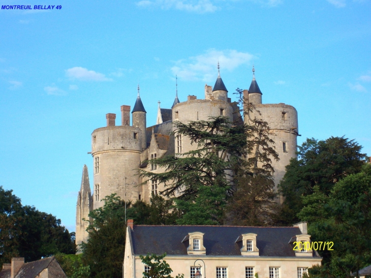 Le Chateau - Montreuil-Bellay