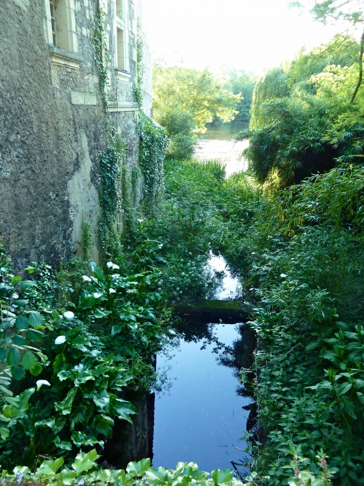 Végétation luxuriante au pied du Moulin de la Boëlle. - Montreuil-Bellay