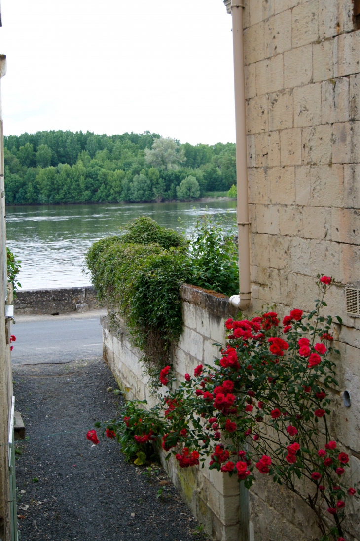 Ruelle descendant à la Loire. - Montsoreau