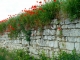 Photo suivante de Montsoreau Mur de soutènement en tuffeau.