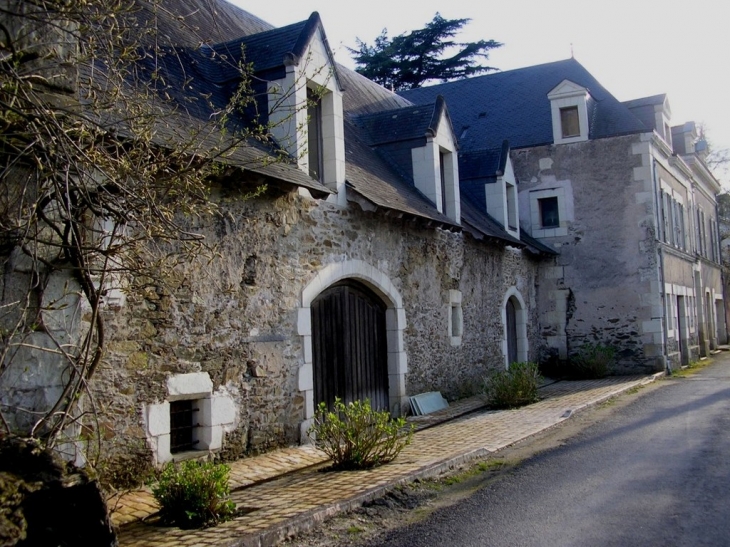 Le long du Louet - Rochefort-sur-Loire
