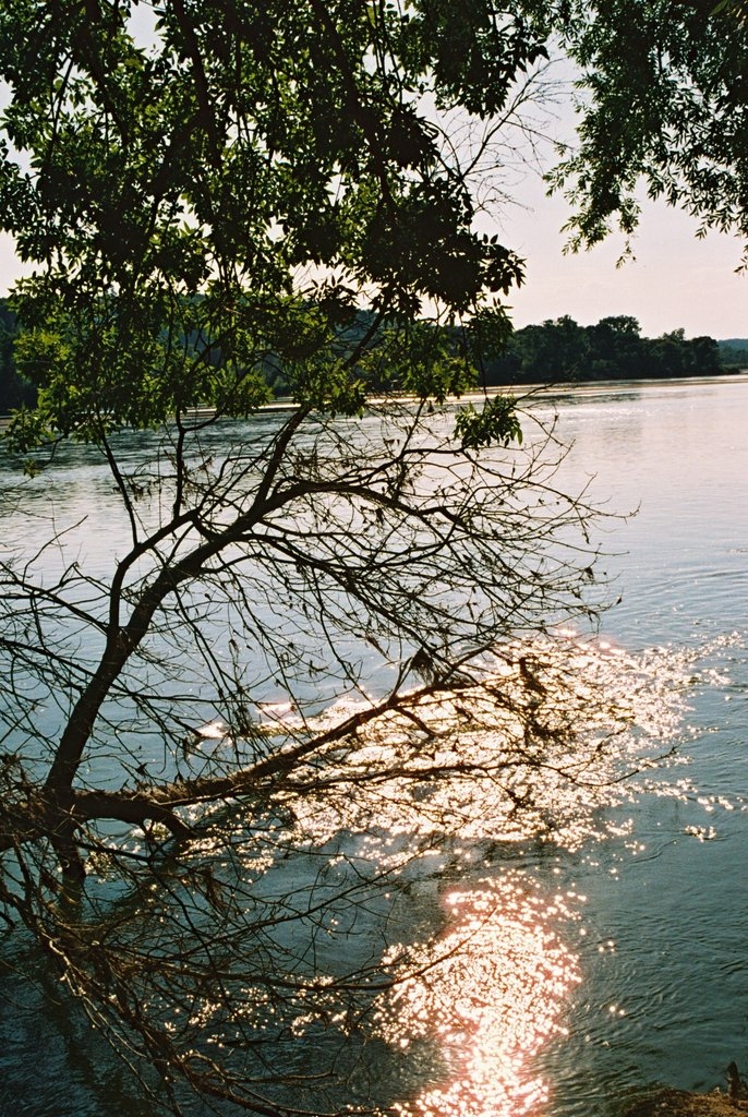 Bord de Loire camping - Saint-Martin-de-la-Place