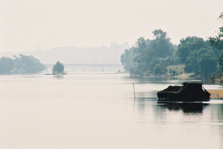 Automne sur les bords de loire - Saint-Martin-de-la-Place