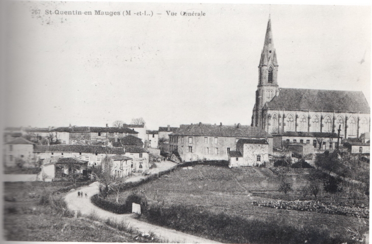 Route du Pin en M. - Saint-Quentin-en-Mauges