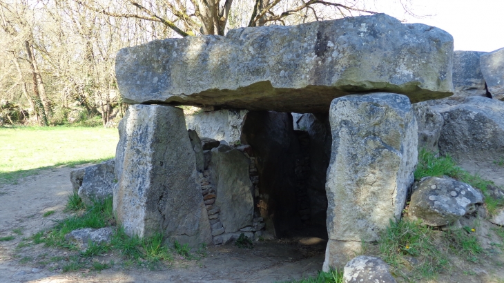Dolmen angevin de la Bajoulière - Saint-Rémy-la-Varenne