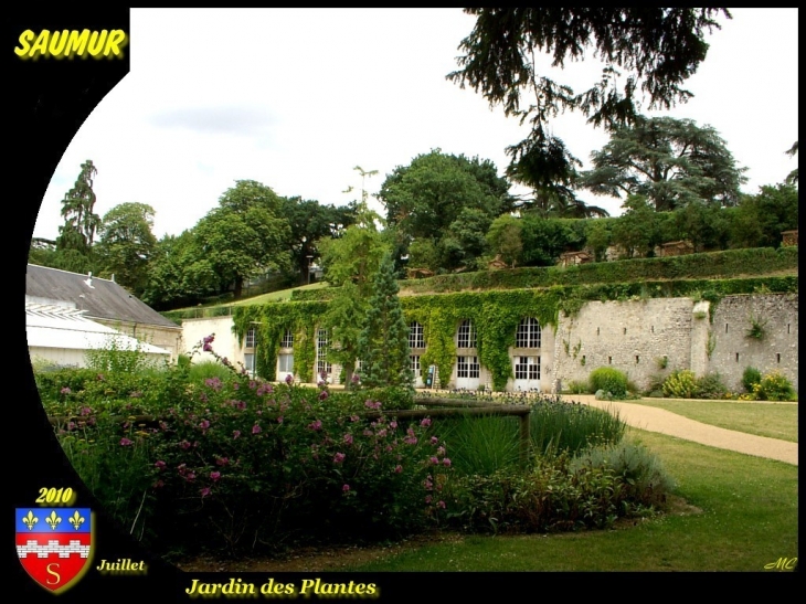 Jardin des plantes - Saumur