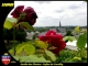 Photo précédente de Saumur Jardin des plantes