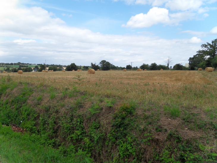 RUE DE COURT PIVERT AVANT LES TRAVAUX - Segré