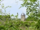 Photo précédente de Villemoisan Le moulin de la Vierge