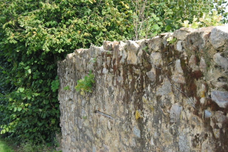 Mur de pierre - Beaulieu-sur-Oudon