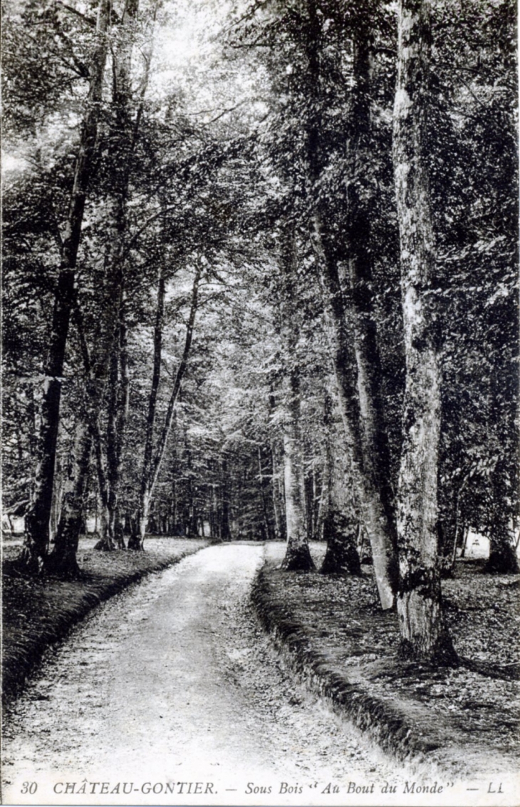 Sous Bois  - Château-Gontier