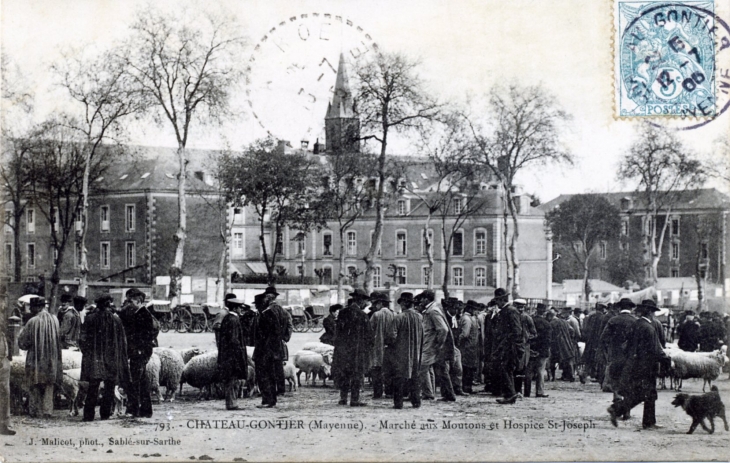 Marché aux moutons et Hospice Saint Joseph, vers 1905 (carte postale ancienne). - Château-Gontier