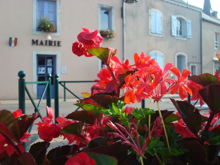 Entre 4 Fleurs...la Mairie - Coudray