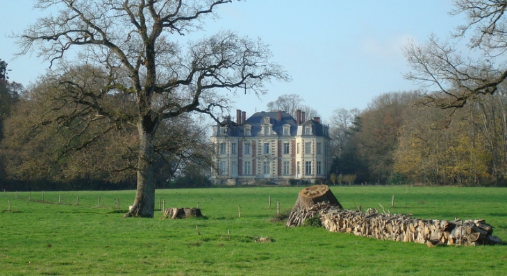 Château des Places (entre  1869 et 1872) - Daon