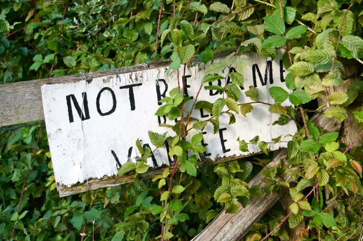 Notre Dame de la Vallée. - La Haie-Traversaine