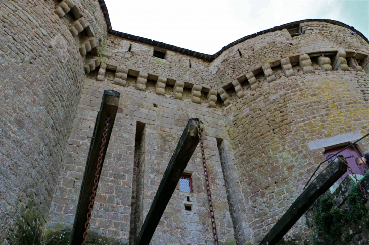Le château - Lassay-les-Châteaux
