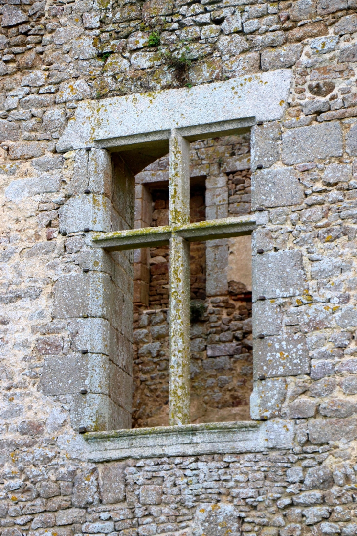 Château du Bois Thibaut - Lassay-les-Châteaux