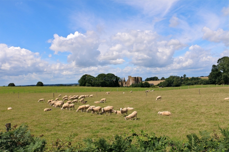 Château du Bois Thibaut - Lassay-les-Châteaux