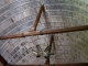 Photo suivante de Oisseau Plafond du transept nord, en coque de bâteau renversée. Eglise Saint Pierre.
