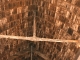 Photo suivante de Parné-sur-Roc le plafond de la  ef en coque de bâteau rensersé