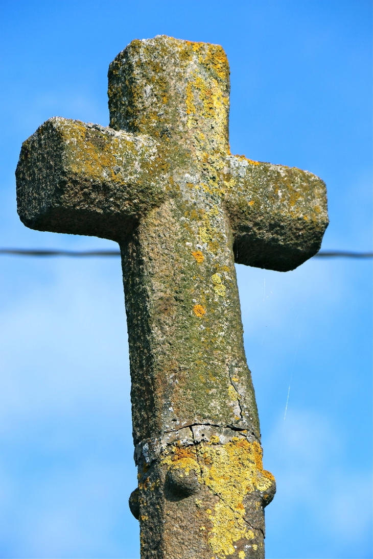 La croix de la croix hosannière. - Rennes-en-Grenouilles