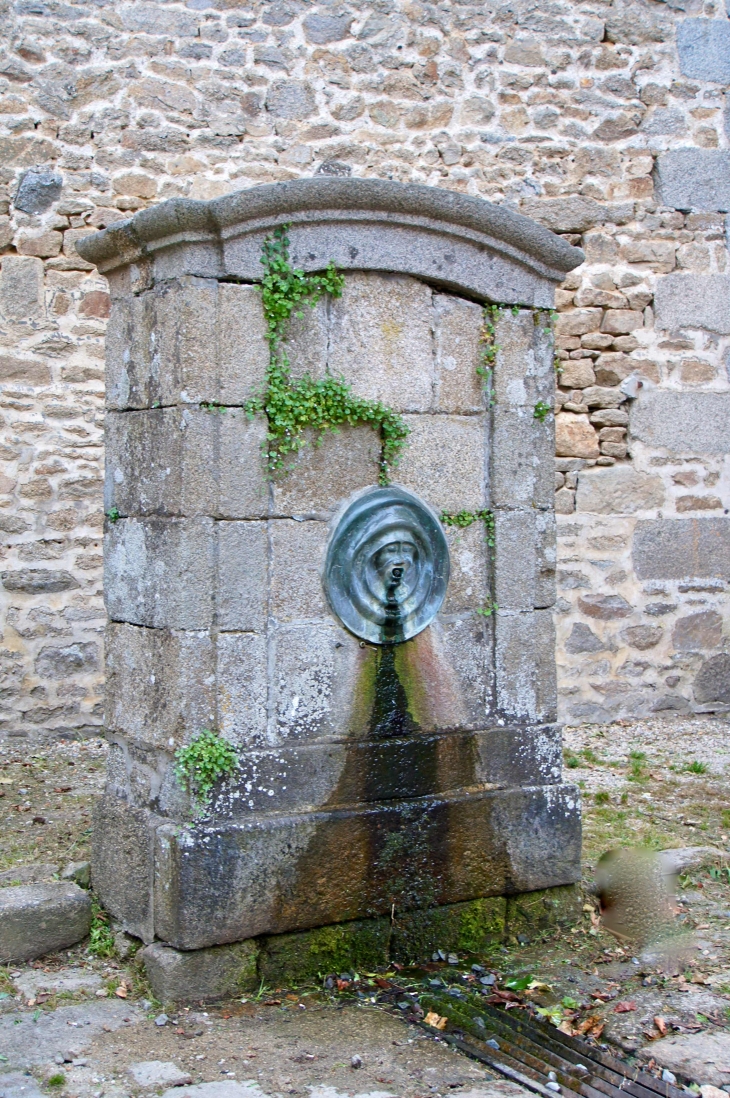 Fontaine-Daniel : La Fontaine dans le village. - Saint-Georges-Buttavent