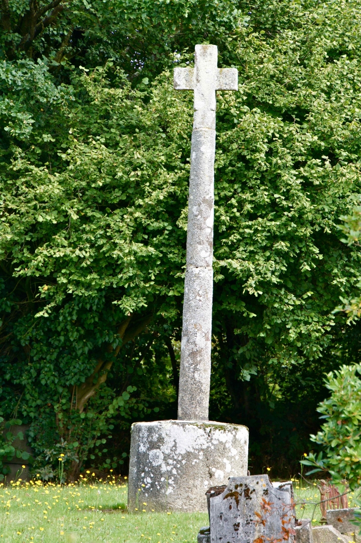 Croix de cimetière : La Chapelle-au-Grain. - Saint-Georges-Buttavent