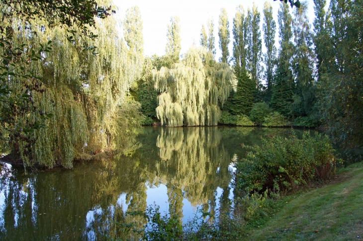 Un étang dans les environs. - Saint-Georges-Buttavent