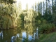 Photo suivante de Saint-Georges-Buttavent Un étang dans les environs.
