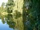 Photo précédente de Saint-Georges-Buttavent Un étang dans les environs.