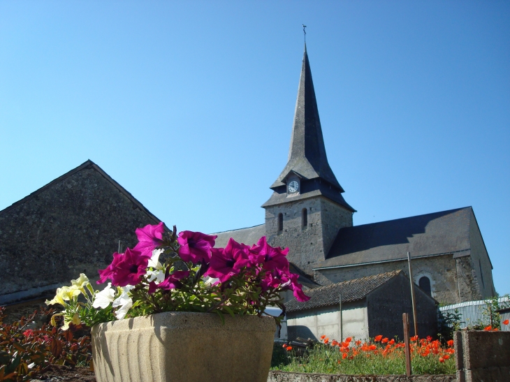 Eglise Saint-Laurent.(à partir du XVè siècle) Schiste et calcaire coquillier) - Saint-Laurent-des-Mortiers