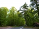 Photo précédente de Beaumont-Pied-de-Bœuf la forêt de BERCE