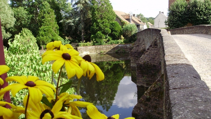 LE PONT - Beaumont-sur-Sarthe