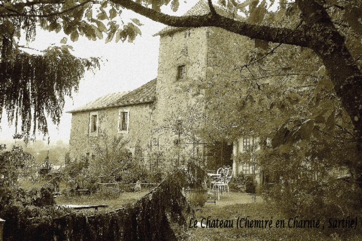 Chateau de chemiré - Chemiré-en-Charnie