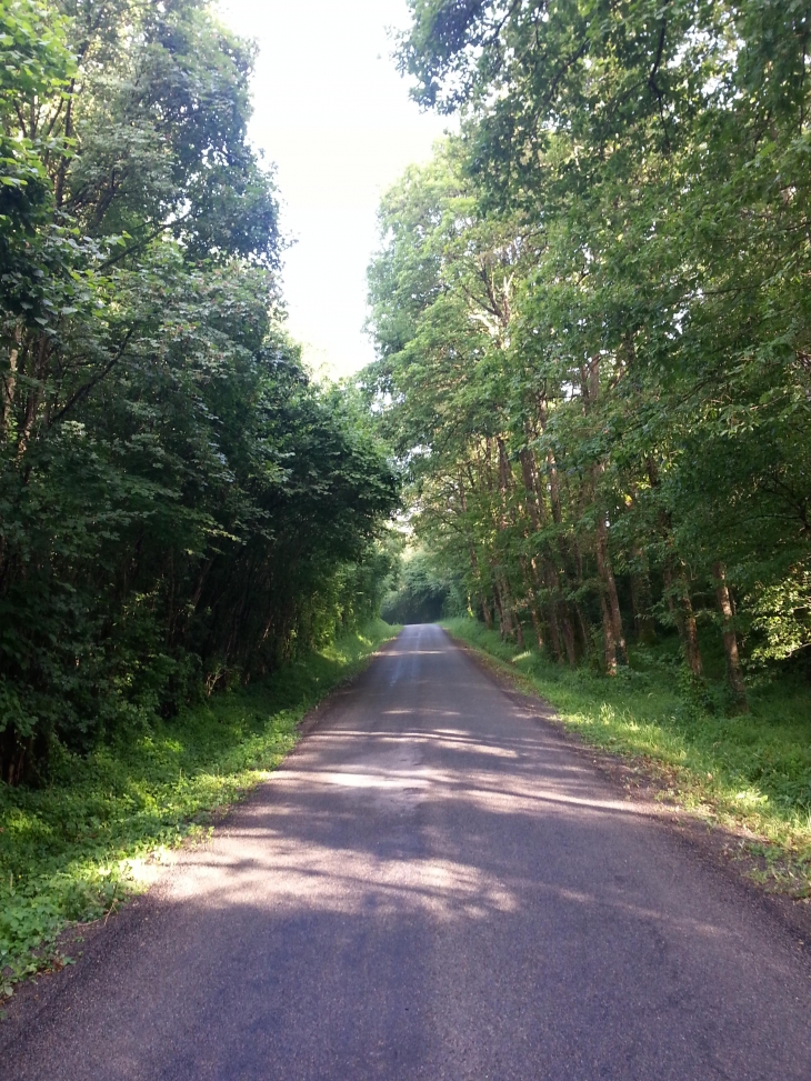 La route des bois - Chérisay