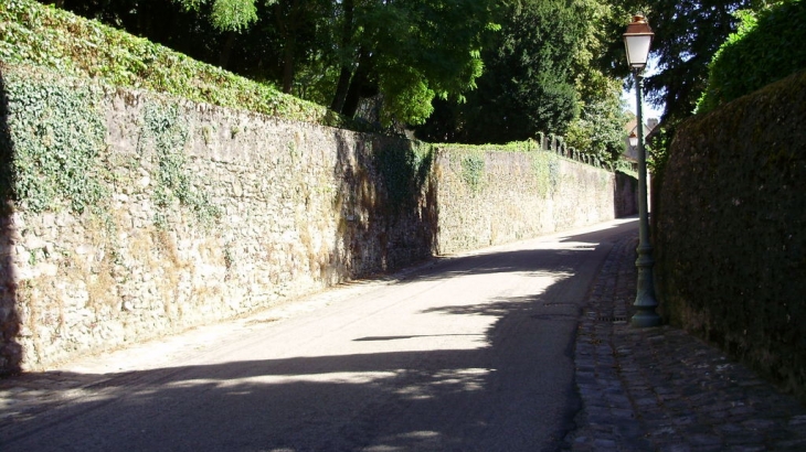 RUE MONTANTE - Fresnay-sur-Sarthe