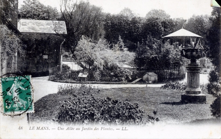 Une allée au Jardin des Plantes, vers 1910 (carte postale ancienne). - Le Mans