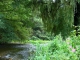 Photo suivante de Saint-Léonard-des-Bois L'eau, la verdure, les fleurs: Saint Léonard des bois