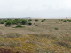 Photo suivante de Barbâtre vue sur la plage et le continent