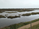 Photo suivante de Barbâtre le polder de Sébastopol réserve naturelle