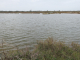 Photo précédente de Barbâtre le polder de Sébastopol réserve naturelle