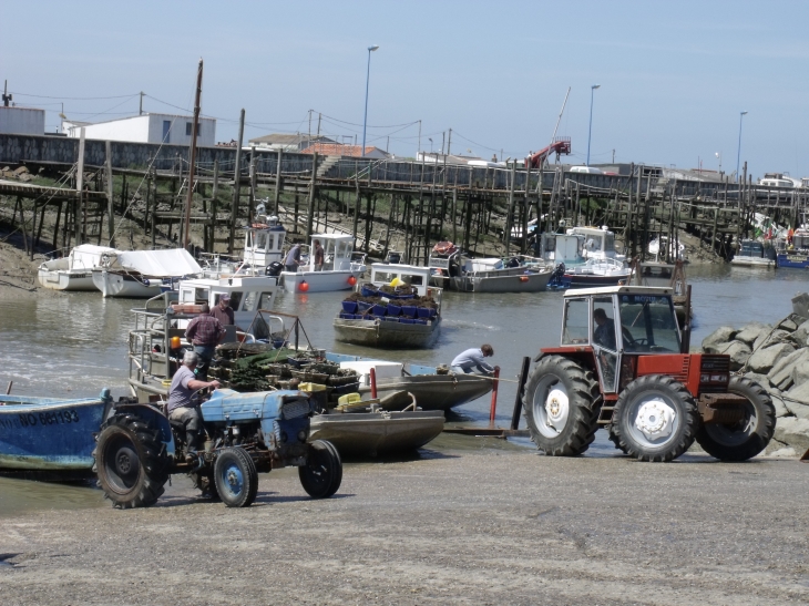 Port du Bec    Les barges reviennent des parcs a huitres - Bouin