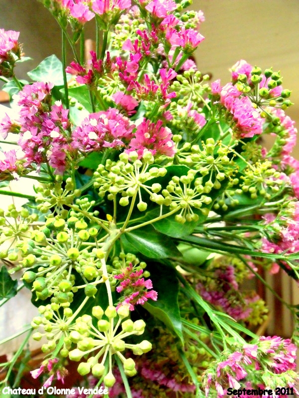 Quelques fleurs pour les visiteurs - Château-d'Olonne