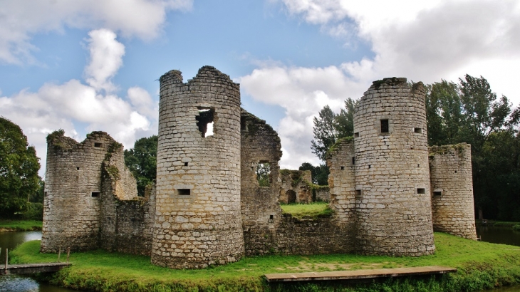 Ruines du Château - Commequiers