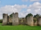 Photo suivante de Commequiers Ruines du Château