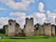 Photo précédente de Commequiers Ruines du Château