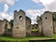 Photo suivante de Commequiers Ruines du Château