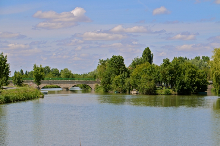 Le pont de la D116 et la Sèvre Niortaise. - Damvix